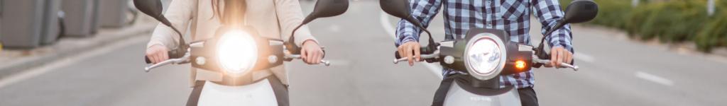 Terms of use & Disclaimer